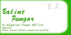 balint pungor business card